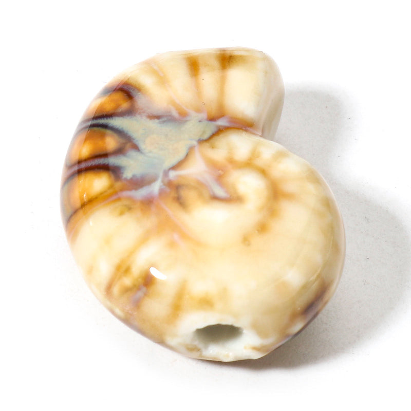 21x17mm Ceramic Shell Bead