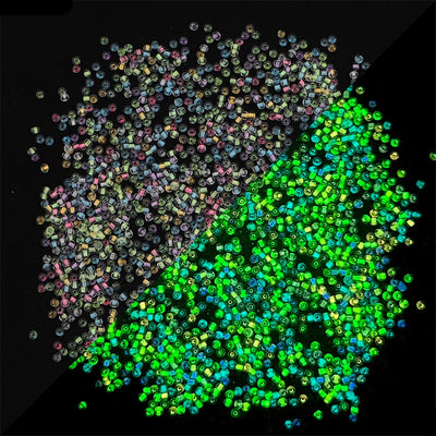 The Bead Store 2mm Glow in the Dark Glass Seed Beads Mixed Colours