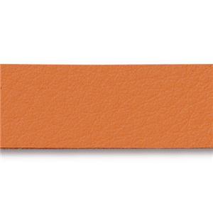TierraCast Pre-Cut Leather Bracelet Strap ~ 10" ~ Orange
