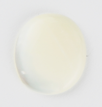 Mother of Pearl Shell Cabochon ~ 25x18mm
