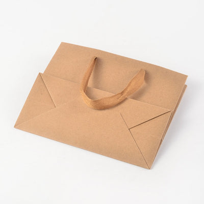 Paper Gift Bag ~ 220mm x 180mm