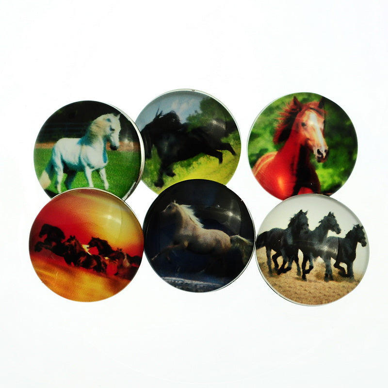 6 x Glass Snap Buttons ~ 18mm ~ Horses Pattern (Mixed)