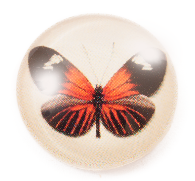 Vintage Style Thick Glass Dome Cabochon ~ 20mm ~ Bright Butterfly